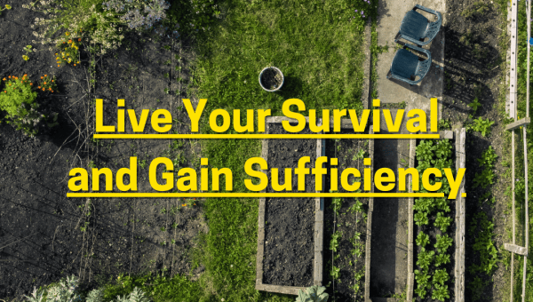 Live Your Survival and Gain Sufficiency, by E.M.