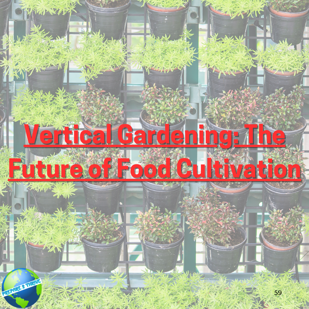 Vertical Gardening: The Future of Food Cultivation