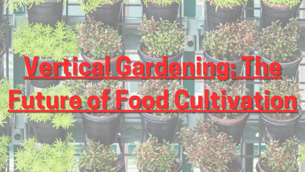 Vertical Gardening: The Future of Food Cultivation