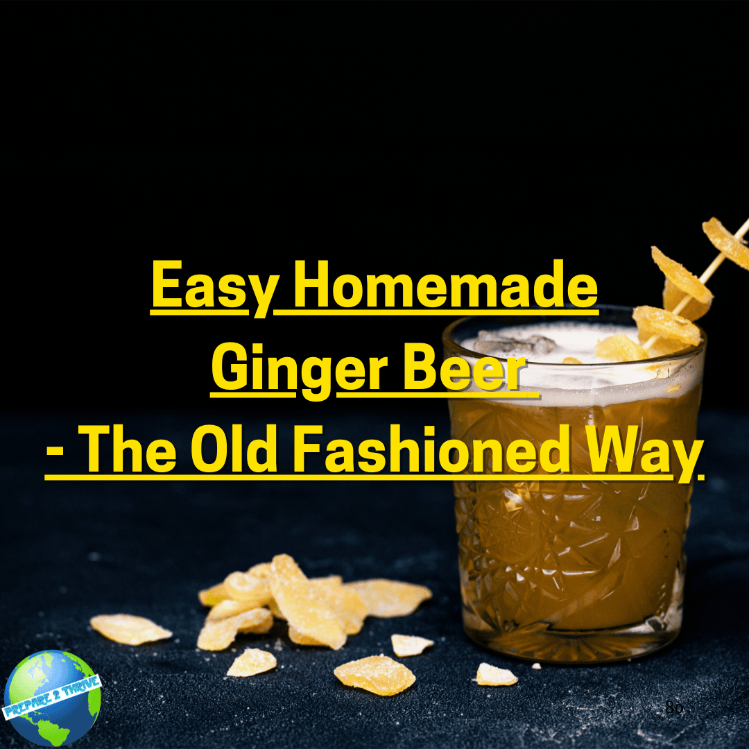 Easy Homemade Ginger Beer - The Old Fashioned Way